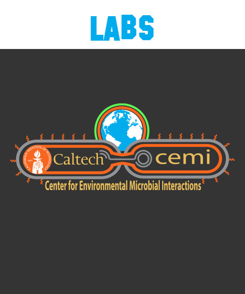 Labs