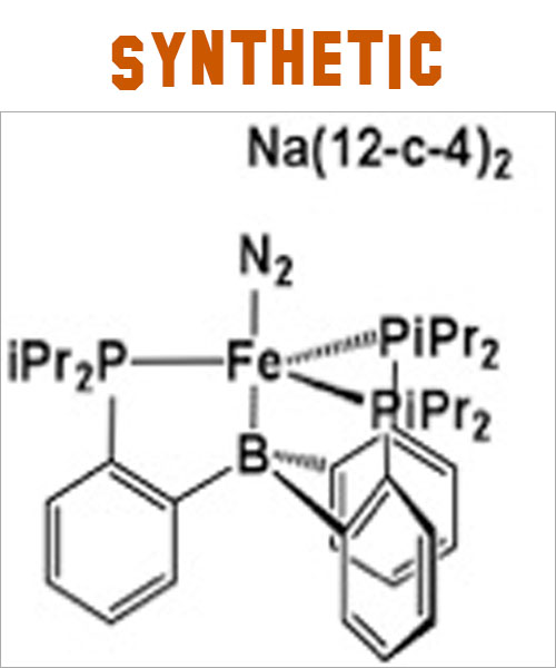 Peters Lab7